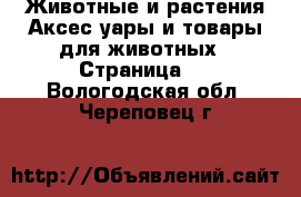 Животные и растения Аксесcуары и товары для животных - Страница 2 . Вологодская обл.,Череповец г.